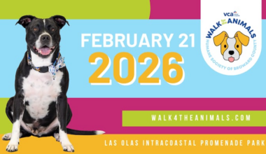 Join the Humane Society of Broward’s VCA Walk for the Animals
