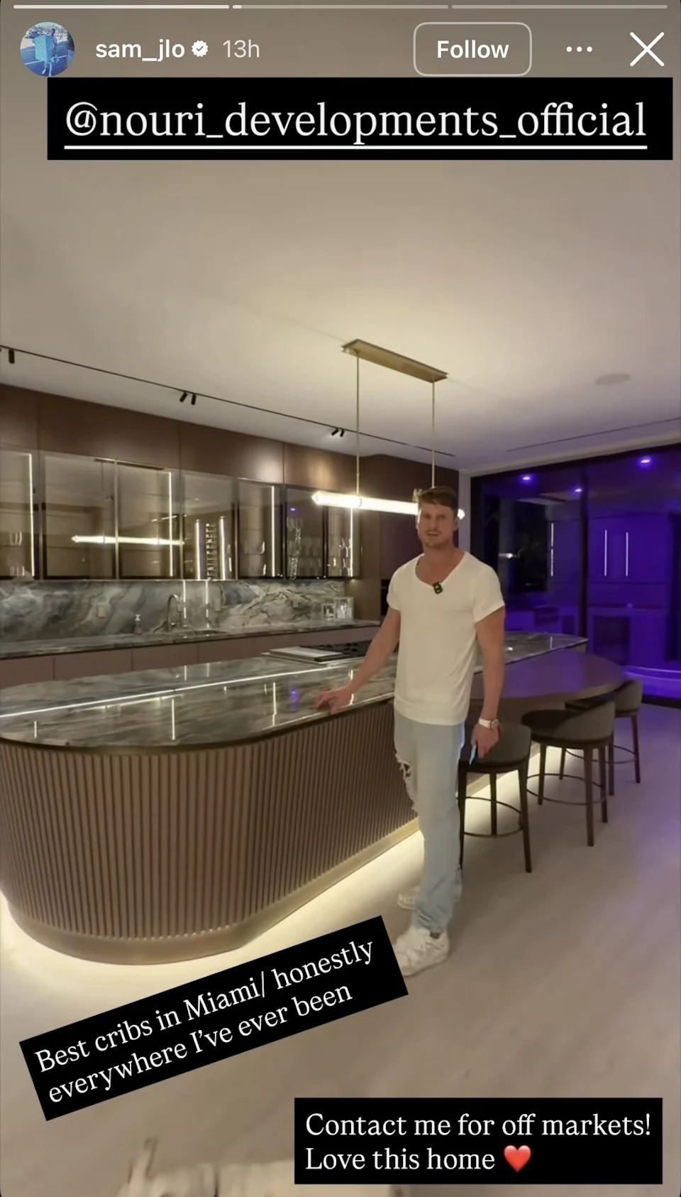 The home's developer, Michael Nouri, hired Logan to promote other estates the Nouri Group is building in the area.