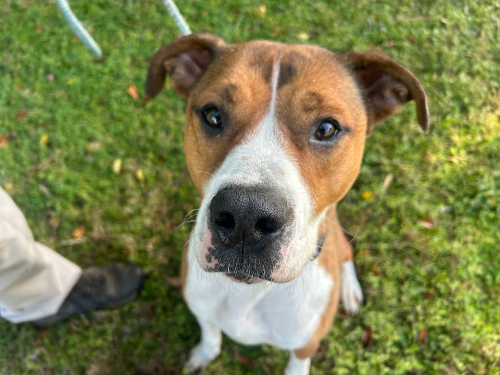 Marley never misses the chance to sneak in some hugs and kisses and treats!