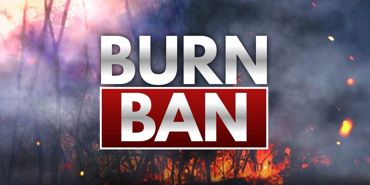 Burn bans spread across North Central Florida amid brush fire response