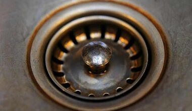 7 Central Florida eateries shut down over health violations