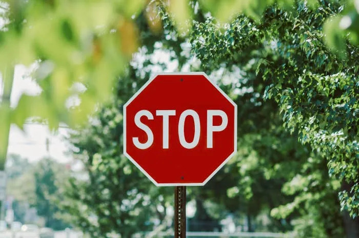 A stop sign is surrounded by trees, indicating a quiet, leafy area
