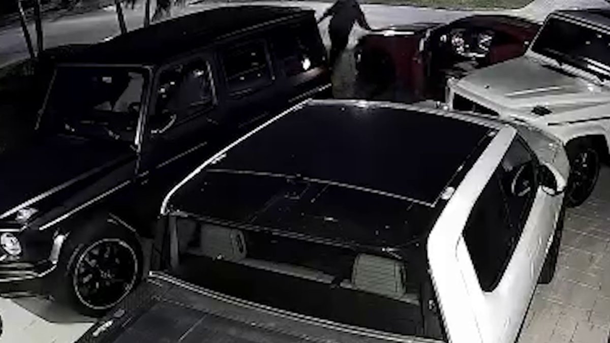 Video shows Camaro reversing into G-Wagon in hit-and-run crash – NBC 6 South Florida