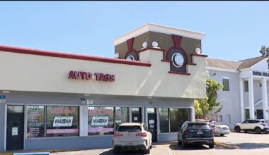 Multiple suspects arrested as Hialeah tag agency accused of fraud – NBC 6 South Florida