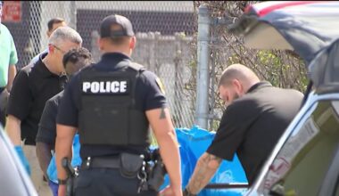 Man charged with murder after woman found dead in dumpster in Fort Lauderdale – NBC 6 South Florida