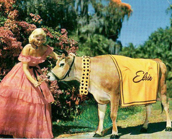 One of Cypress Gardens' signature Southern belles welcomes Borden Dairy's...