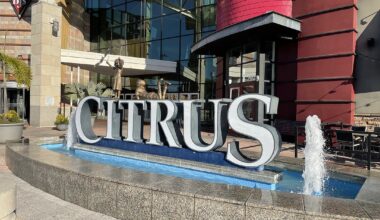 Bankrupt Eddie Bauer joins growing list of retailers closing Florida stores