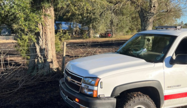 Wildfires pop up across North Central Florida this week