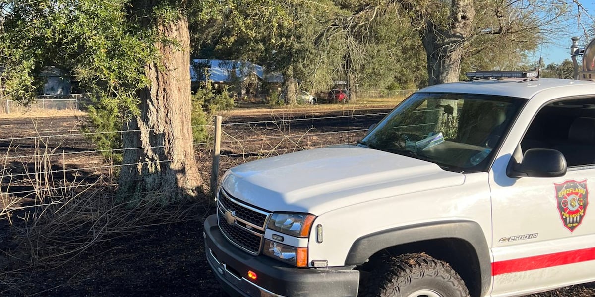 Wildfires pop up across North Central Florida this week