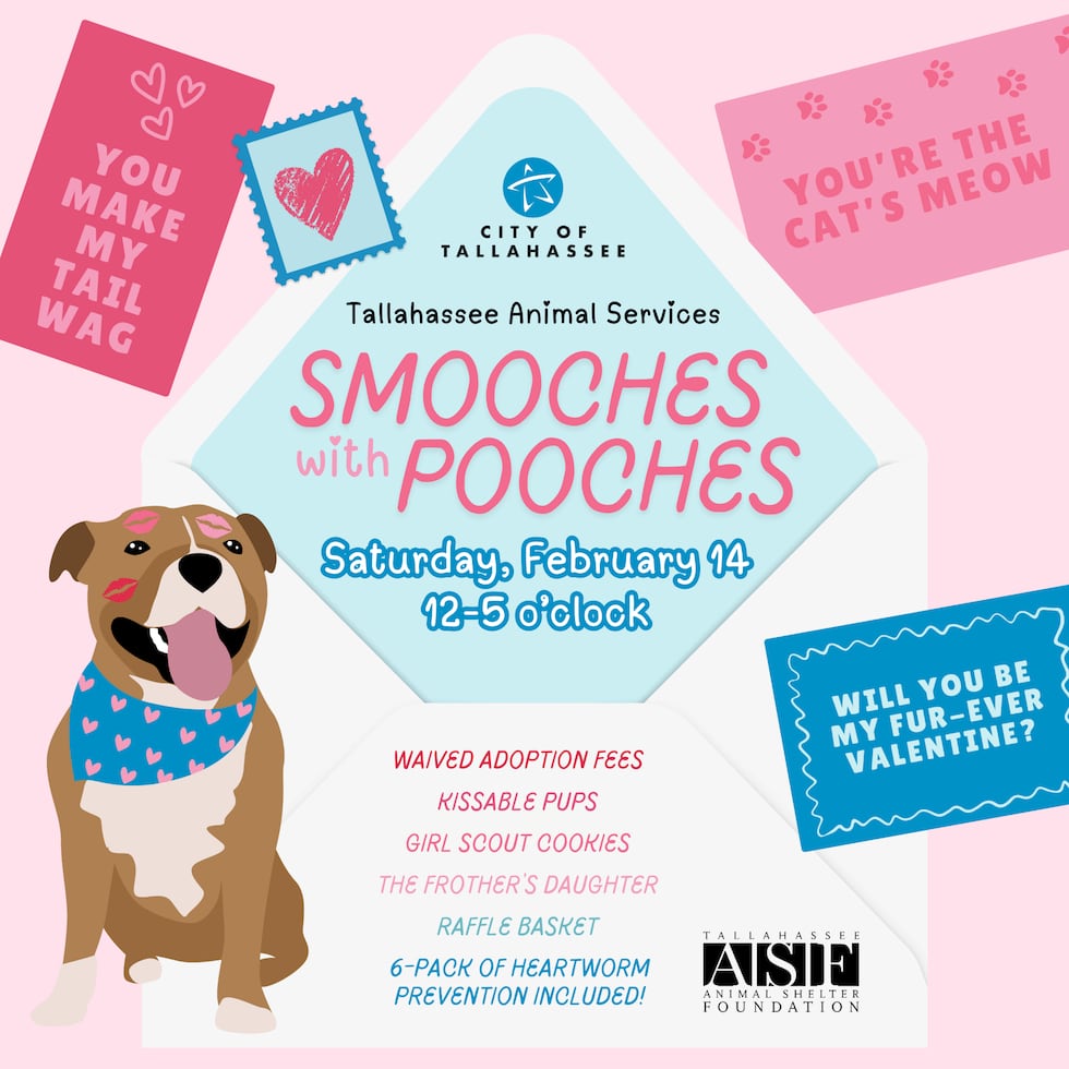 Dogs and cats at the Tallahassee Animal Service Center can be adopted for free on Valentines...
