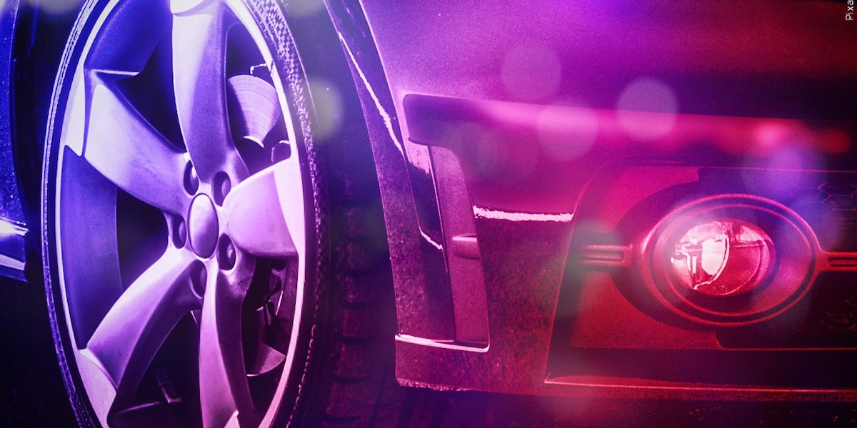 TPD, WCSO locate and arrest Tallahassee carjacking suspect in joint operation