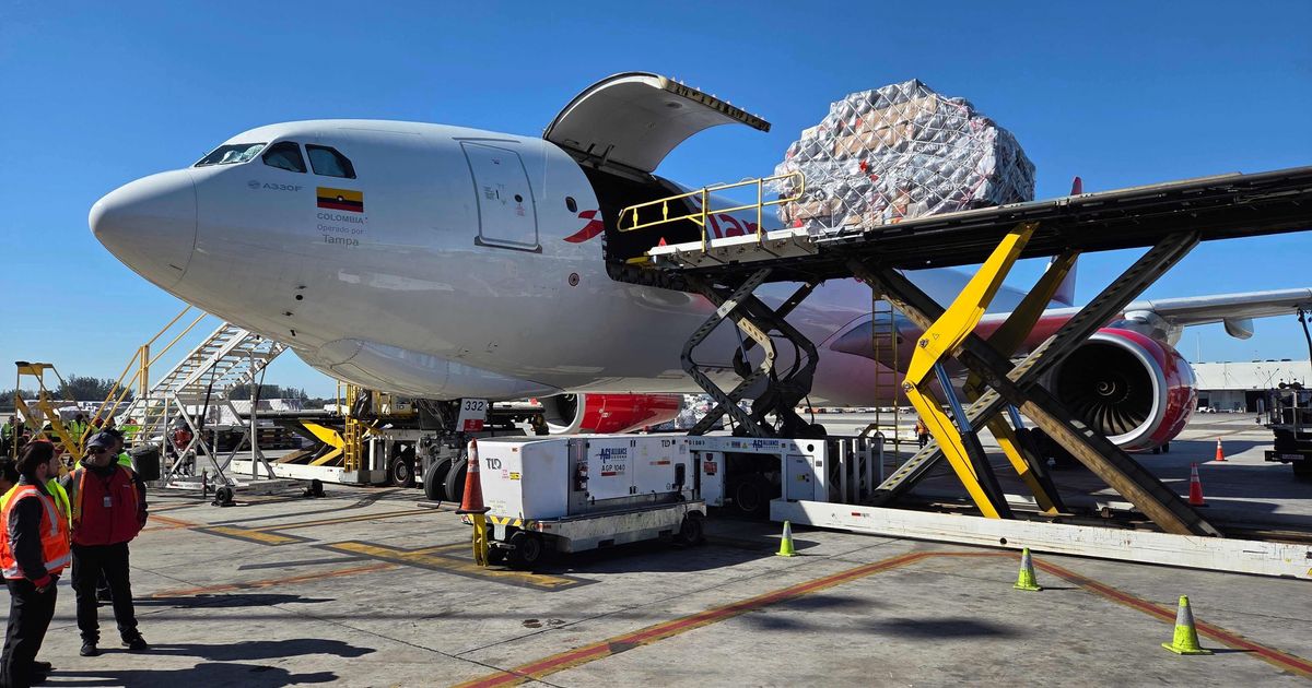 Valentine flower imports increase at Miami airport, despite tariffs and higher costs, officials say :: WRAL.com