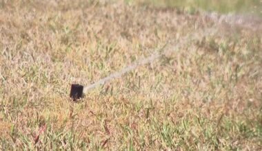 Water restrictions in north Cape Coral lead to code violations