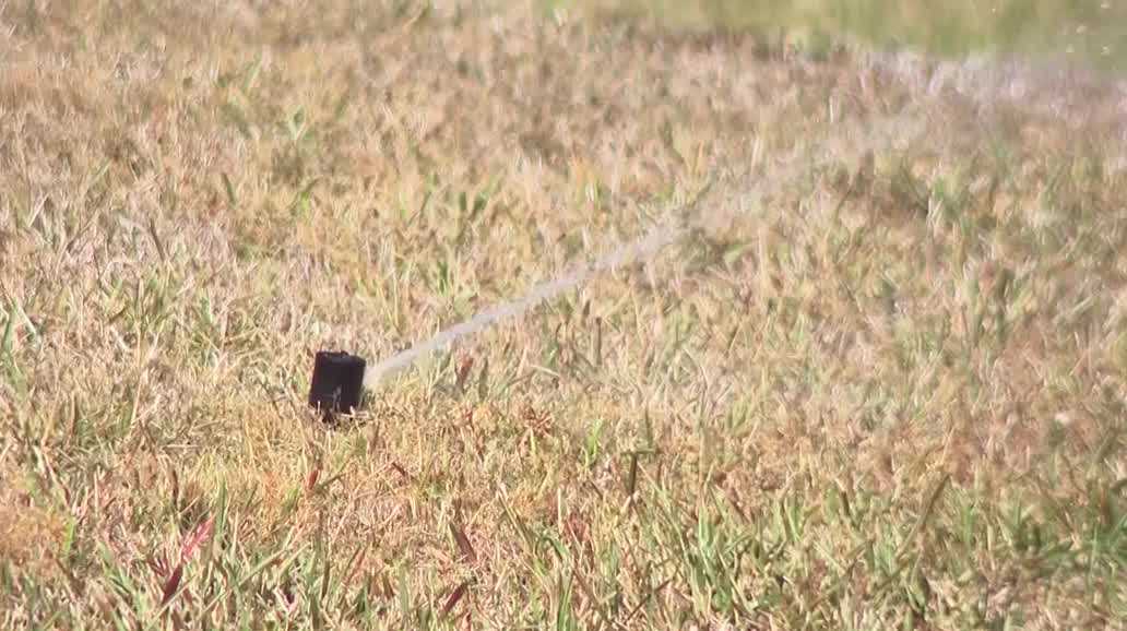 Water restrictions in north Cape Coral lead to code violations