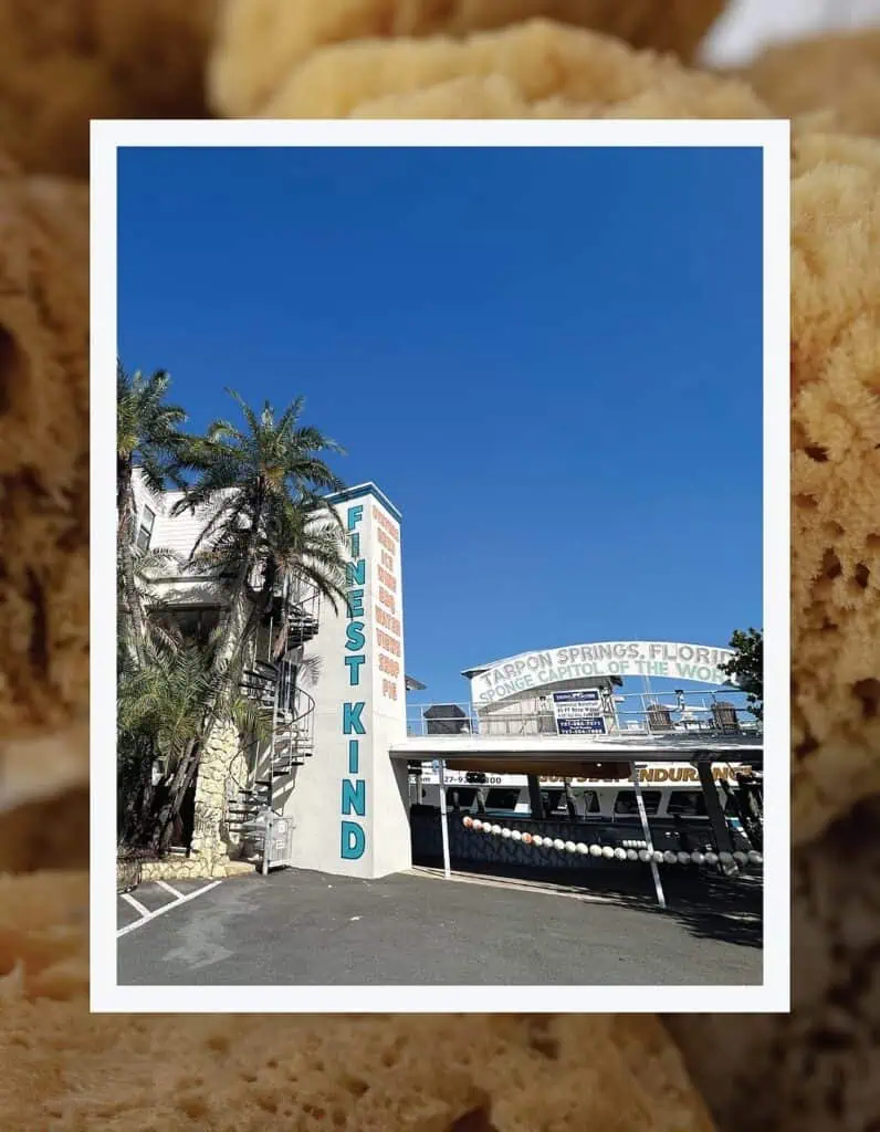 Photos of Pete's Bagels in Tarpon Springs