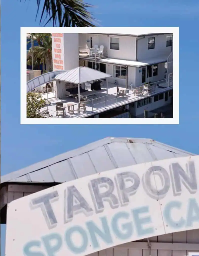 Photos of Pete's Bagels in Tarpon Springs