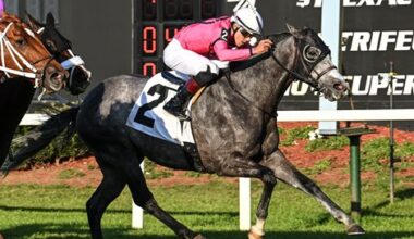 Tampa Bay Leading Jockey Marin Earns Jockey of the Week