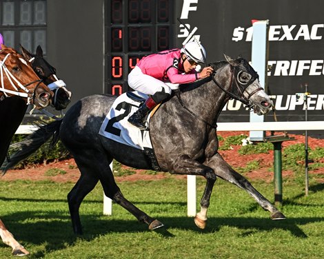 Tampa Bay Leading Jockey Marin Earns Jockey of the Week