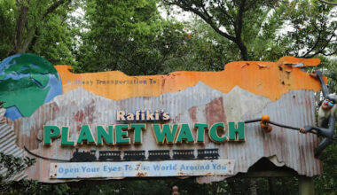 Disney’s Animal Kingdom plans temporary closures for Bluey-inspired attraction