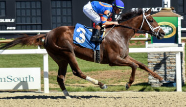 Download app from appStore