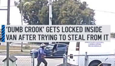 'Help me! I can't breathe!' Video caught a man's screams for help after police said he tried to rob a landscaping van in Hialeah but ended up getting locked inside. More details : http://on.nbc6.com/335SrLg #hialeah #landscaping #truck #lock