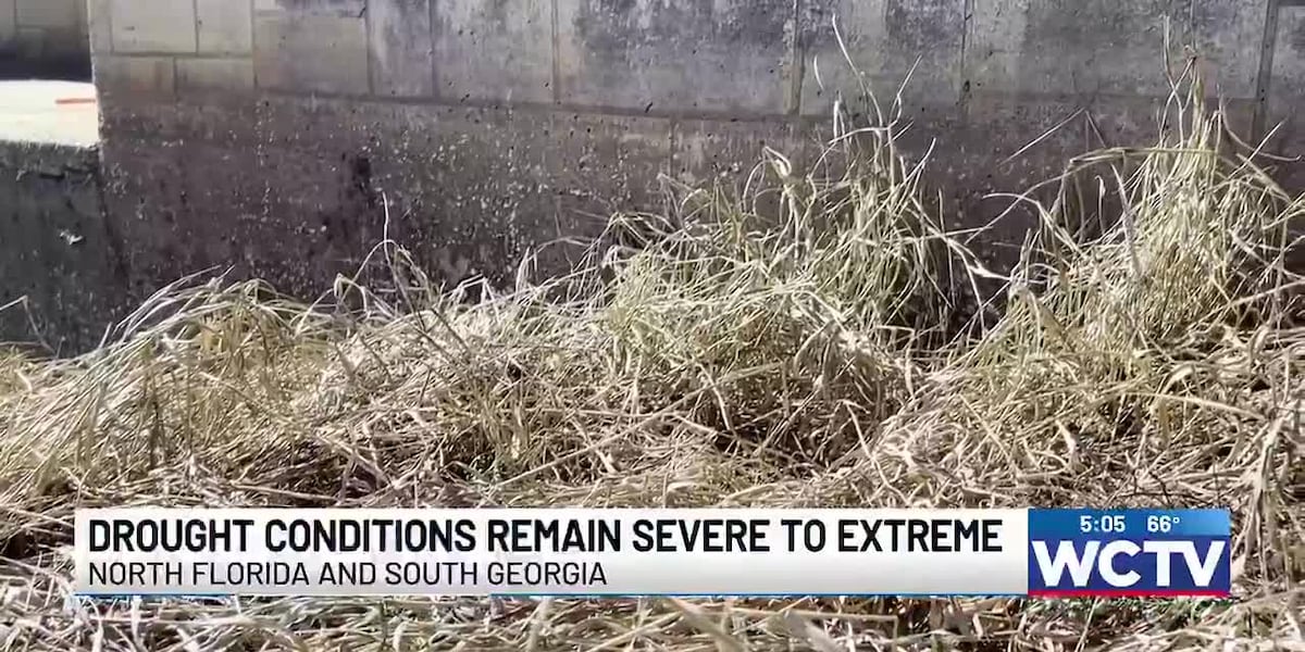 Drought conditions remain severe to extreme across North Florida, South Georgia