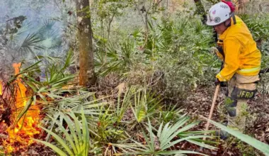 Jacksonville firefighters battle a 2-acre wildfire recently on UNF Drive.