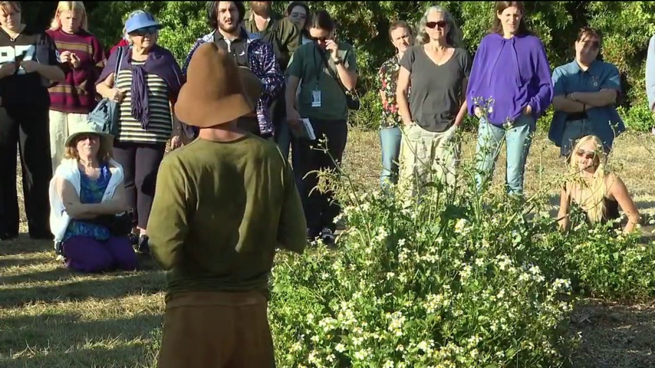 Forager plans to survive off land for one year