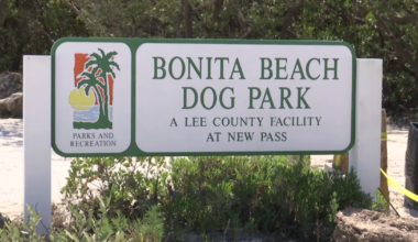 Lee announces temporary closure of Bonita Dog Beach Park | Lee County