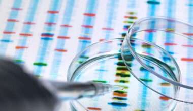 Fort Lauderdale Police Address Serial Killer Rumors After Homicide Arrest | 1290 WJNO