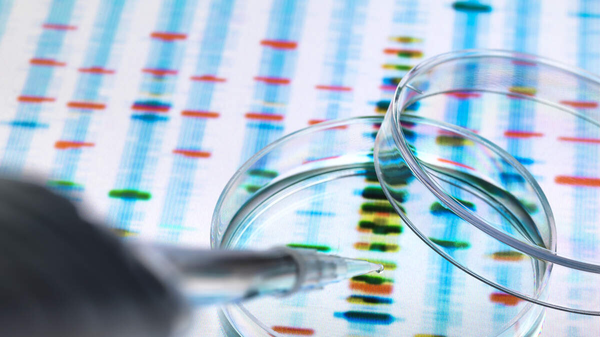 Fort Lauderdale Police Address Serial Killer Rumors After Homicide Arrest | 1290 WJNO