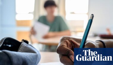 ‘A harmful barrier’: new Florida law mandates all driving tests to be offered in English only | Florida