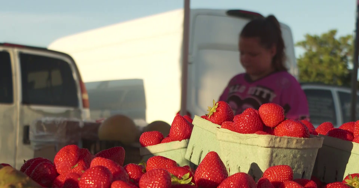Farmers' market in Cape Coral helps locals combat grocery price hikes | Lee County