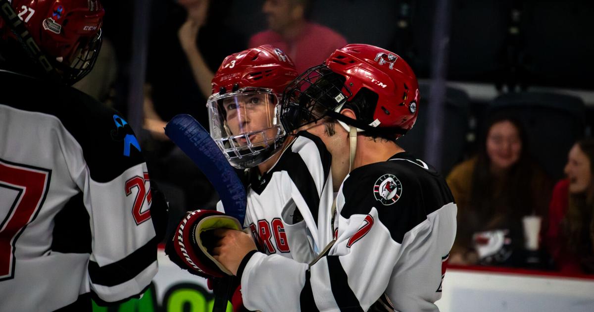 Late rally falls short in Ice Dawgs’ 4–2 loss to Tampa in regional tournament opener | Georgia Sports
