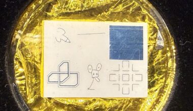 Apollo 12’s Secret Art Mission | Clubs & Organizations