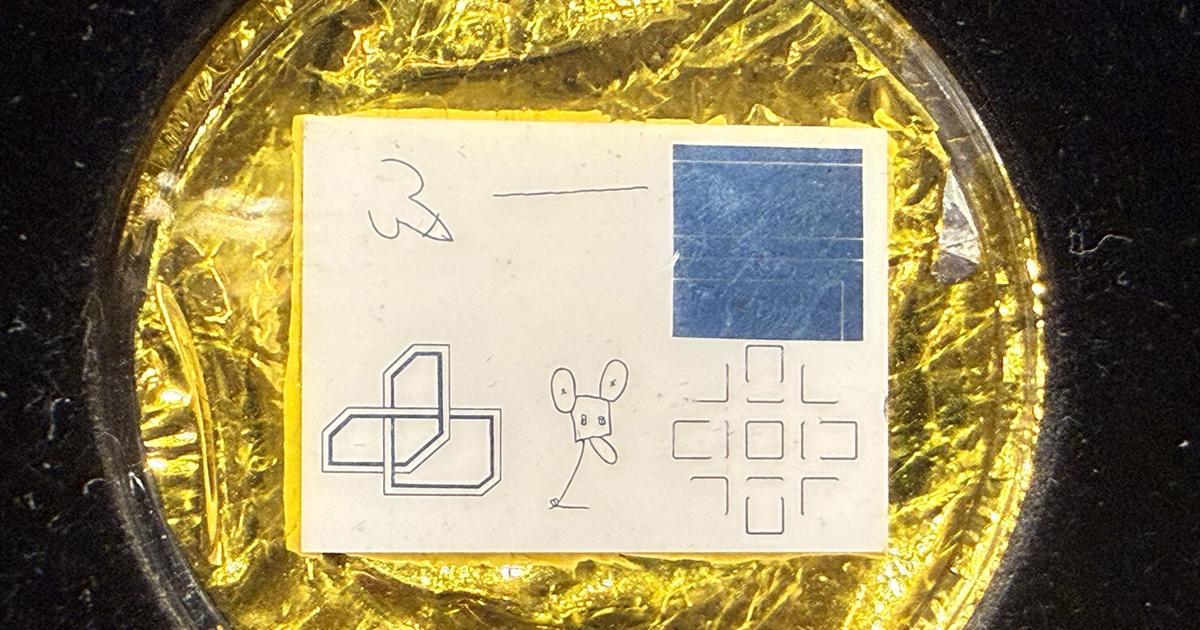 Apollo 12’s Secret Art Mission | Clubs & Organizations