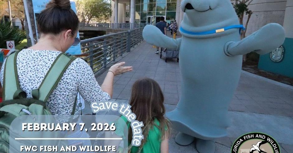 Things to do around Pinellas: Feb. 5-11 | News