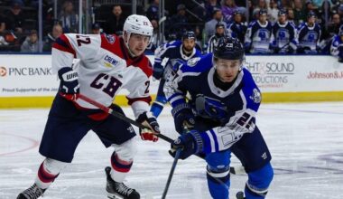 South Carolina Stingrays beat Jacksonville Icemen in hockey
