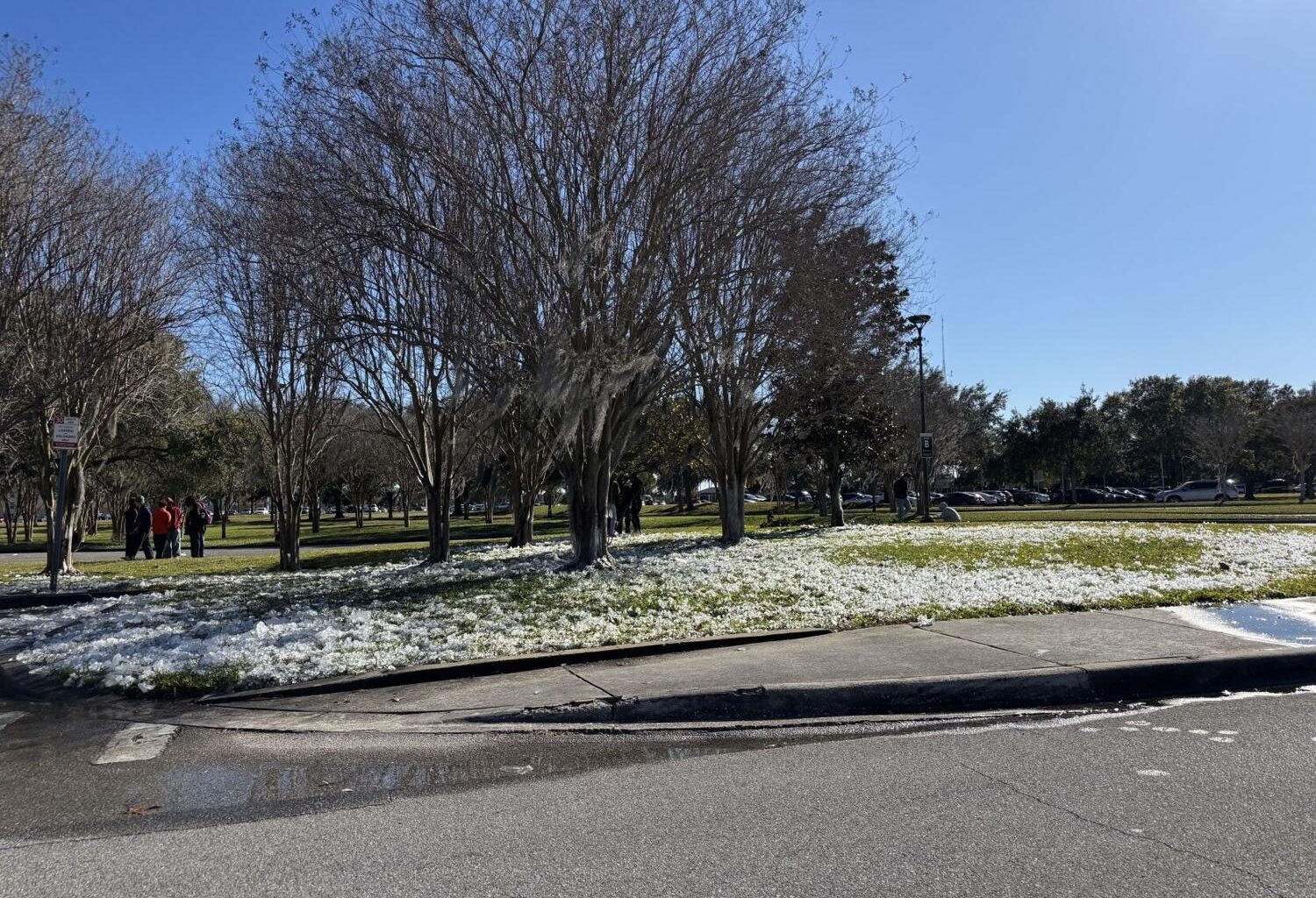 Weather conditions cancel first Universal Knights ticket distribution | News