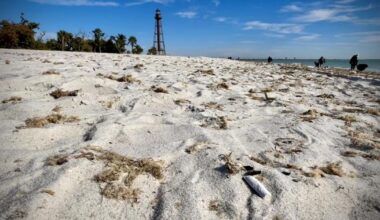 Sanibel moves forward with smoking ban proposal for city-maintained beaches | Lee County