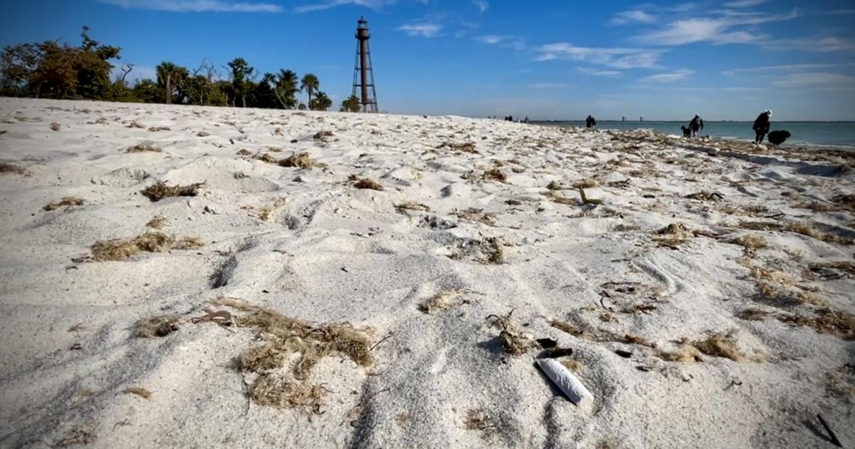 Sanibel moves forward with smoking ban proposal for city-maintained beaches | Lee County