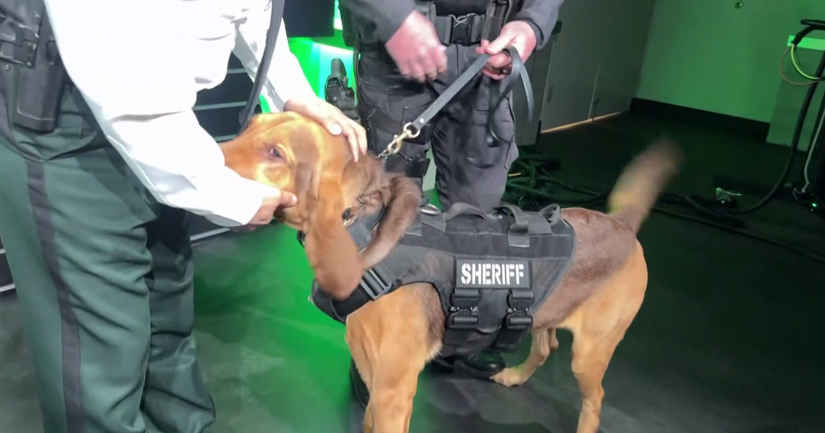 On National Missing Persons Day LCSO highlights K9 who found missing man | Lee County