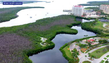 Cape Coral's Redfish Pointe development halted, preserving wetlands | Lee County