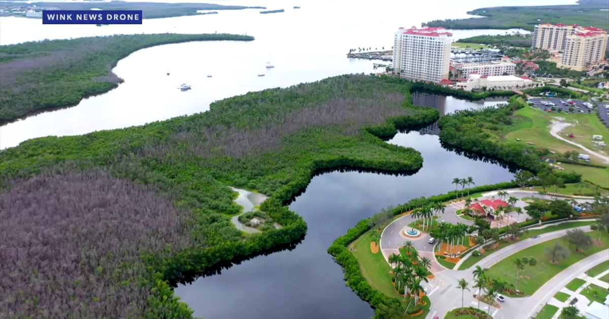 Cape Coral's Redfish Pointe development halted, preserving wetlands | Lee County