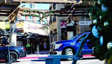 Tampa’s International Plaza mall is getting a multimillion-dollar redesign | News