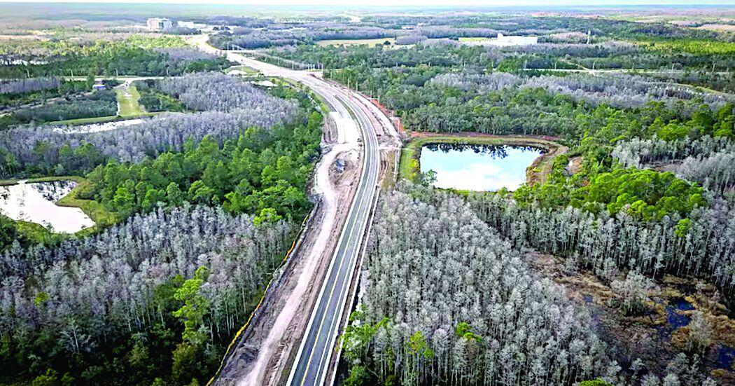 Trump Road in Tampa Bay? Stop naming streets after people. | Opinion