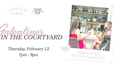 Things to do around Tampa & Wesley Chapel: Feb. 12-18 | News