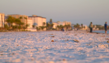 Fort Myers Beach project aims for completion in 60 days, says manager | Lee County