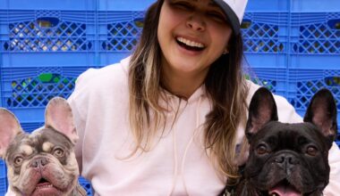 Why I Moved to a More Expensive Neighborhood for My Dogs