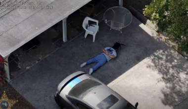 Man arrested for armed robbery following chase with deputy drone | Lee County